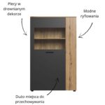 Kolekcja ESTEBAN witryna niska 1d1w grafit / dąb evok - obrazek 5