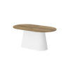 HUBERTUS Design — CAPITOLO_model_dab_pradawny_bialy