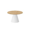 HUBERTUS Design — PINETO_MINI_model_artisanb