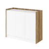 SMART-10 HUBERTUS Design — SMART-10