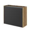 SMART-11 HUBERTUS Design — SMART-11