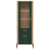 Witryna DANTE DT13 L/P | zielony mat Liveo