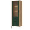 Witryna DANTE DT13 L/P | zielony mat Liveo